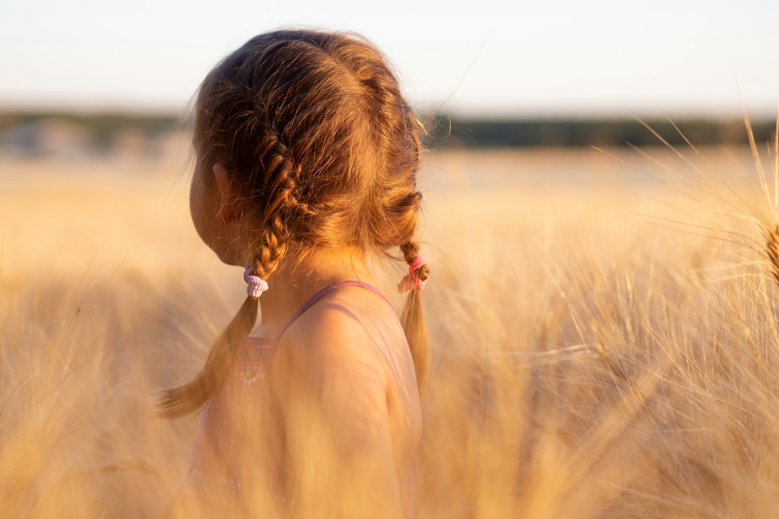 Enfant dans un champ de blé